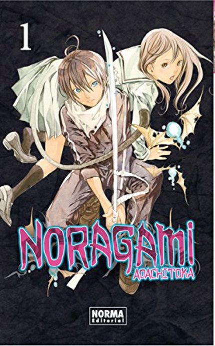 Libro Noragami: ¡ACCION, ELEMENTOS SOBRENATURALES, HUMOR Y UNA PIZCA DE ROMANCE EN EL MANGA MAS ESPERADO! Hiyori, una jo