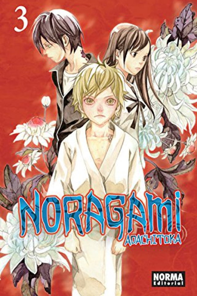 Libro Noragami: DESDE QUE YUKINE ES SHINKI DE YATO, TODO SON PROBLEMAS PARA ÉL. . . Para Hiyori, como humana que ha adqu