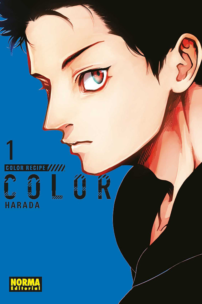 Libro Color Recipe 1: íAPASIONADO Y EXPLÍCITO MANGA YAOI DE TAN SOLO DOS VOLÚMENES! Shôkichi es un estilista un poco huraño que trabaja junto al extrovertido Fukusuke, que es el alma de la fiesta.