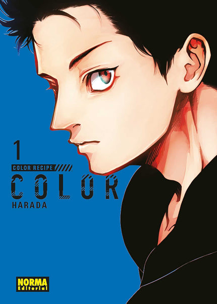Libro Color Recipe 1: íAPASIONADO Y EXPLÍCITO MANGA YAOI DE TAN SOLO DOS VOLÚMENES! Shôkichi es un estilista un poco huraño que trabaja junto al extrovertido Fukusuke, que es el alma de la fiesta.