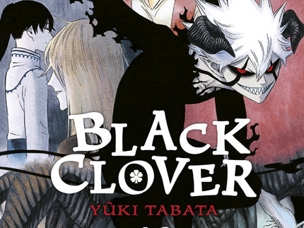 Black Clover 29