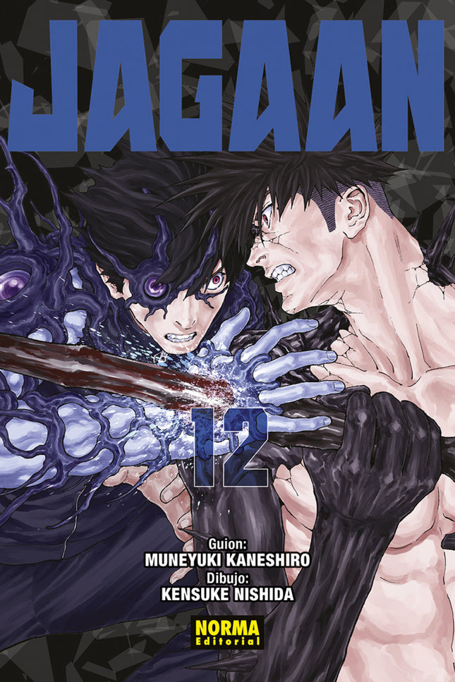 Jagaan 12