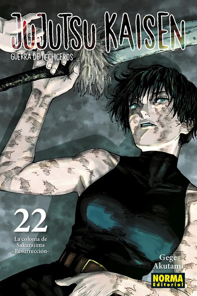 Jujutsu Kaisen 22
