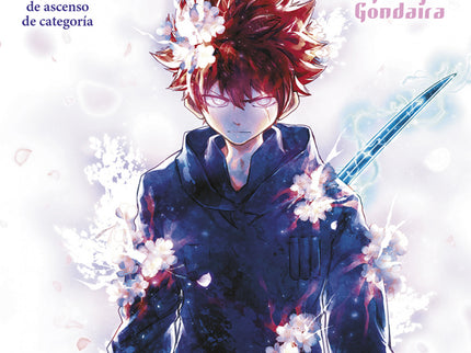 Mision Familia Yozakura 11