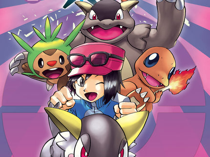 POKEMON X-Y 02 (NUEVO PVP) - Hidenori Kusaka - OTRO FORMATO LIBRO
