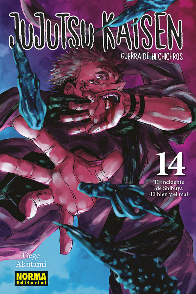 Jujutsu Kaisen 14 (nueva Edición)