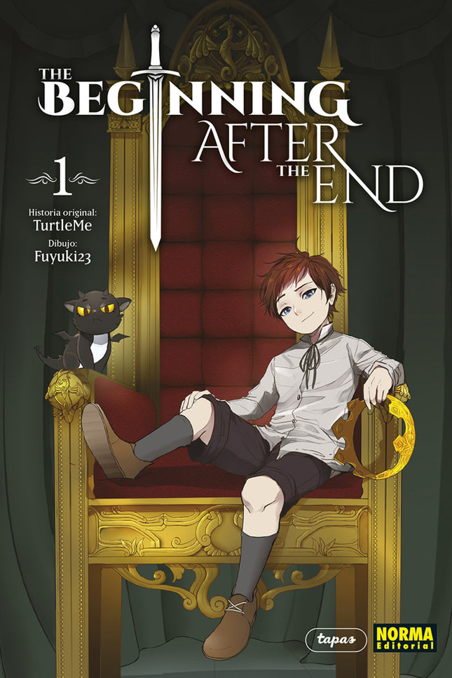 The Beginning After The End 1