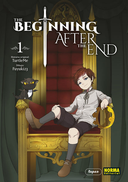 The Beginning After The End 1
