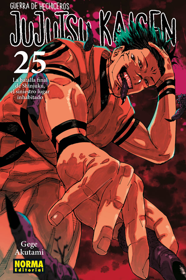 Jujutsu Kaisen 25