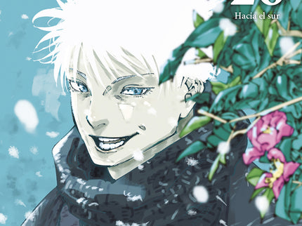 Jujutsu Kaisen 26