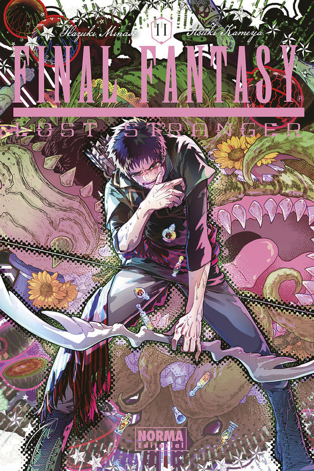 Final Fantasy Lost Stranger 11