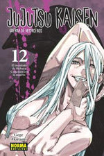 Jujutsu Kaisen 12 (ne)