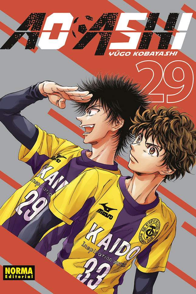 Ao Ashi 29
