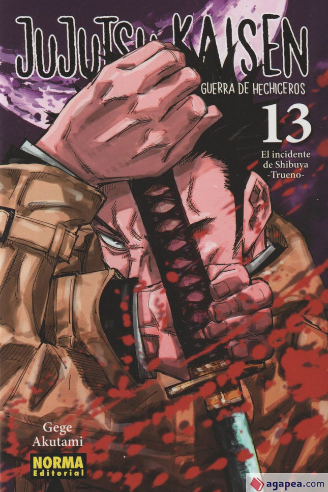 Jujutsu Kaisen, 13 (nuevo Pvp )