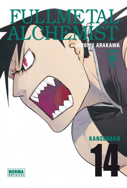 FULLMETAL ALCHEMIST KANZENBAN, 14 (NUEVO PVP) - Hiromu Arakawa - OTRO FORMATO LIBRO