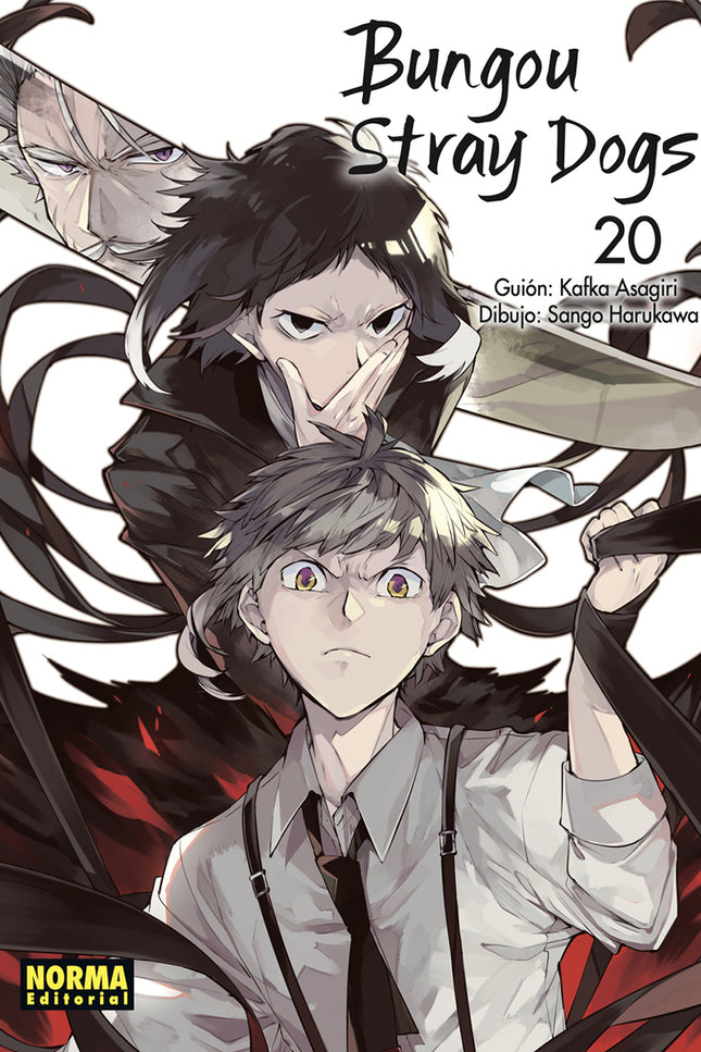 Bungou Stray Dogs 20