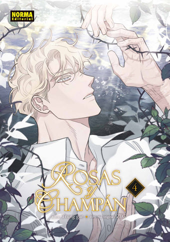 ROSAS Y CHAMPAN 04 - Ttung Gae - BZ
