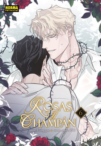 ROSAS Y CHAMPÁN 06 - Ttung Gae - Otros