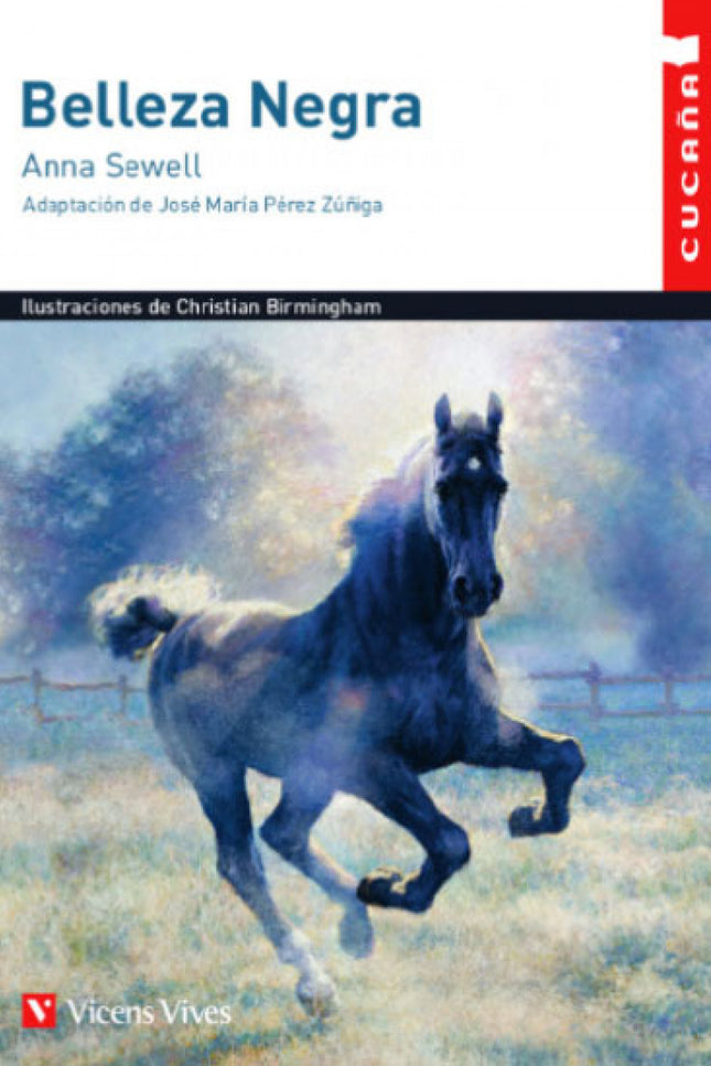 Portada del libro Belleza Negra
