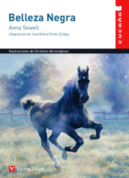 Portada del libro Belleza Negra