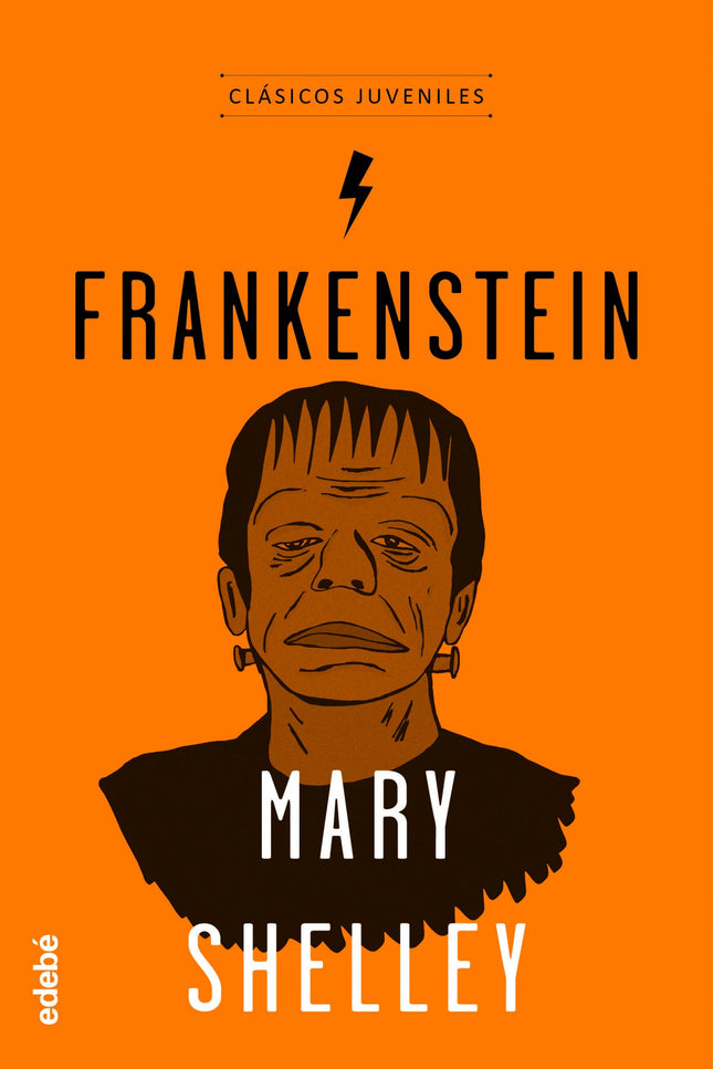 Libro Frankenstein: Frankenstein ha pasado a la historia como sinónimo de terror y maldad. Este mito ha quedado instalad