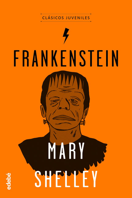 Libro Frankenstein: Frankenstein ha pasado a la historia como sinónimo de terror y maldad. Este mito ha quedado instalad