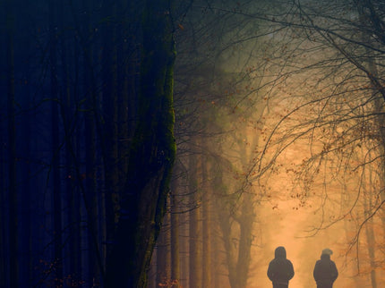 Libro Irlanda Sin Ti: Una historia de amistad entre dos jóvenes de origen muy distinto y personalidades aparentemente opuestas. Dos estudiantes que se encuentran, sin buscarlo, en el marco de una Irlanda en la que cualquier leyenda podría cobrar vida.