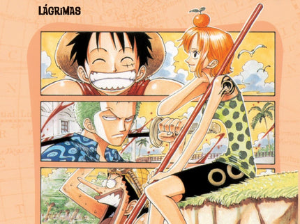 One Piece Nº9