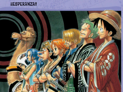 One Piece Nº22