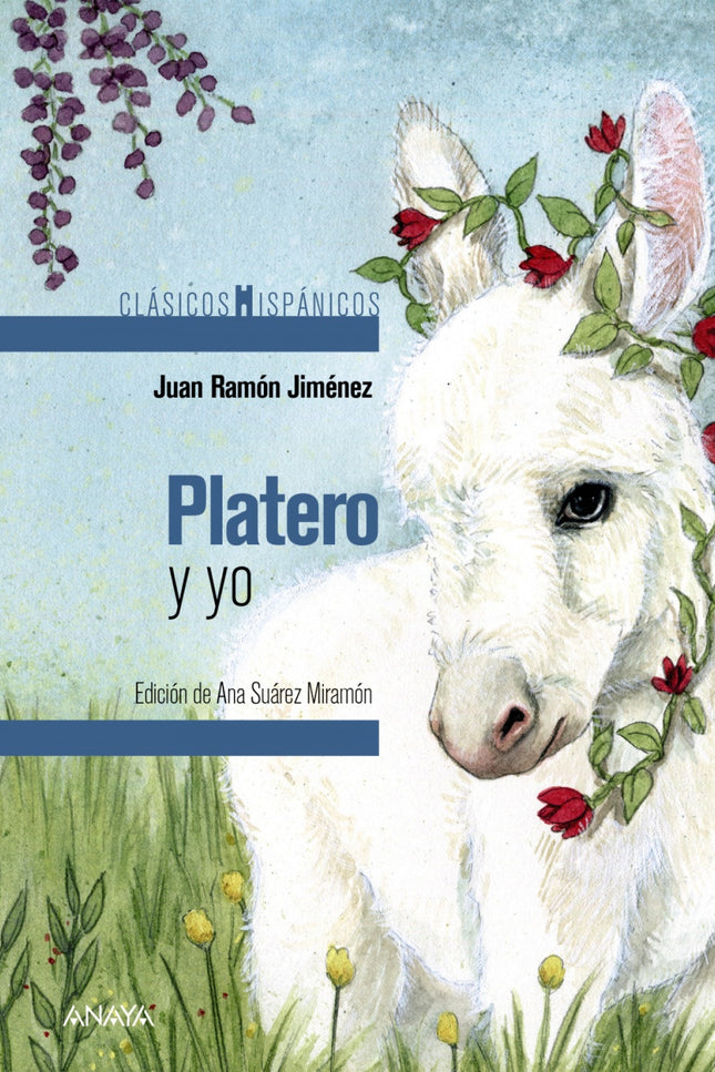 Platero Y Yo