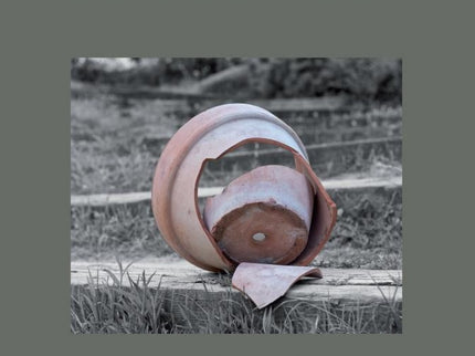 Libro Psicoterapia De La Violencia Filio-parental: Los Medios de Comunicación han reflejado durante los cuatro últimos a