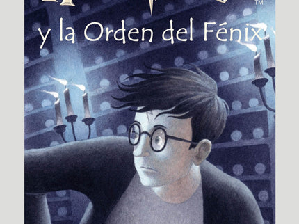 Libro Harry Potter Y La Orden Del Fenix: Las tediosas vacaciones de verano en casa de sus tíos todavía no han acabado y 