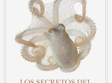 LOS SECRETOS DEL PULPO