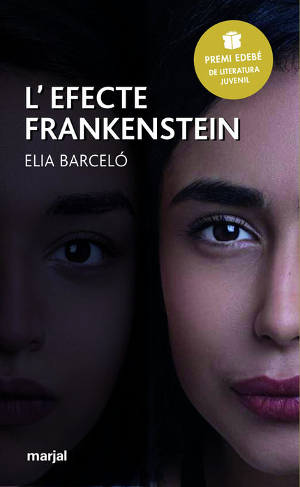 Libro L´efecte Frankenstein: Com si es tractara d'Alícia caient pel cau, Nora viatja a la fi del segle XVIII. Allí haurà de disfressar-se d'home i també de senyoreta;adaptar-se a les vestimentes i els costums de l'època per ajudar el seu amic Max a solucionar el problema amb la criatura que el seu irresponsable amic Víctor ha creat i abandonat al seu laboratori.