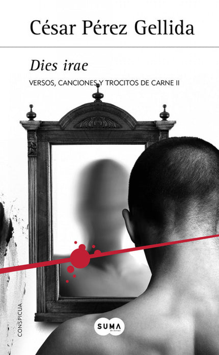 Libro Dies Irae: La acción de este thriller implacable arranca en la peculiar ciudad italiana de Trieste, frontera entre