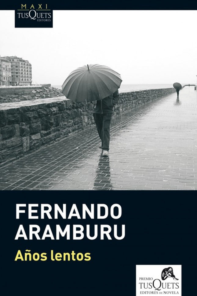 Libro Años Lentos: A finales de la década de los sesenta, el protagonista, un niño de ocho años, se va a San Sebastián a
