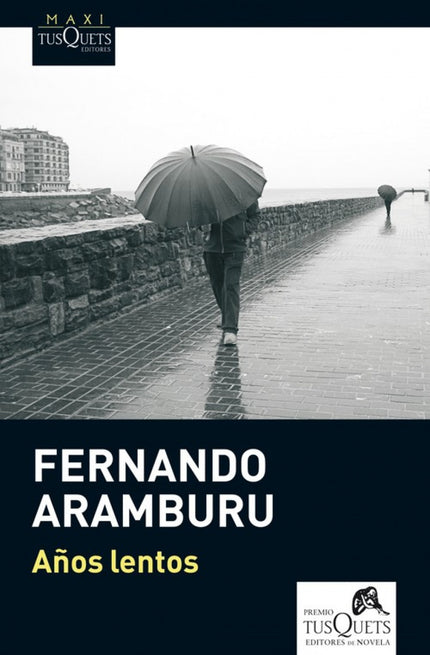 Libro Años Lentos: A finales de la década de los sesenta, el protagonista, un niño de ocho años, se va a San Sebastián a