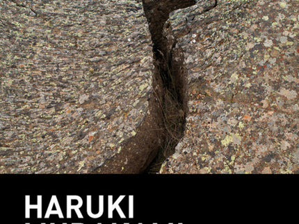 Después Del Terremoto