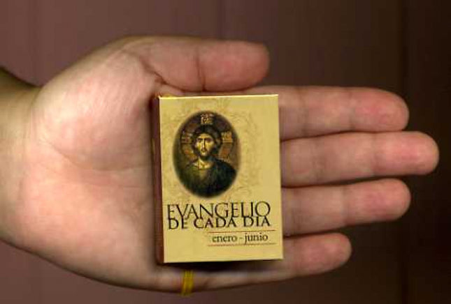 Evangelio de cada día, El - Varios autores - Tapa blanda