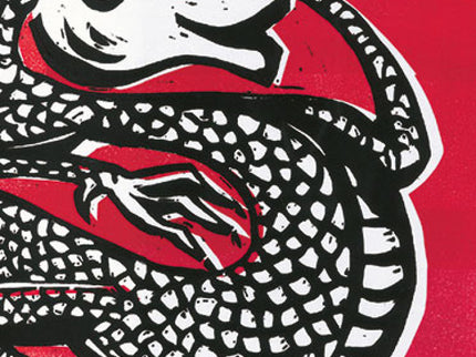 Libro El Nacimiento Del Dragón: Hace mucho, mucho tiempo, cuando los dragones aún no existían, los hombres, las mujeres y los niños de China cazaban, pescaban y vivían en tribus bajo la protección de sus espíritus bienhechores... Mientras en Europa el dragón es un animal misterioso y de reminiscencias malignas, en Asia es sinónimo de paz.