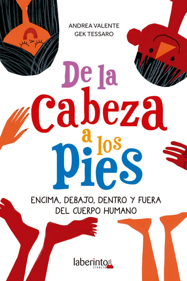 Libro De La Cabeza A Los Pies: ¿Dónde se encuentra la vesícula biliar? ¿Cuánto mide el intestino?