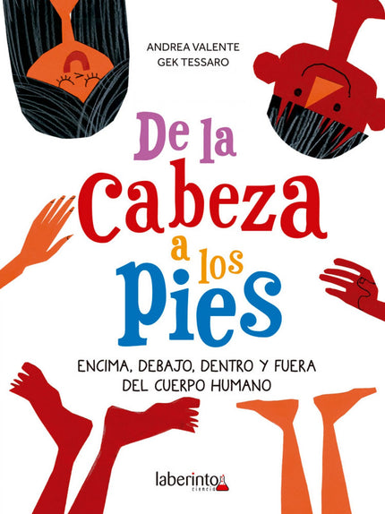 Libro De La Cabeza A Los Pies: ¿Dónde se encuentra la vesícula biliar? ¿Cuánto mide el intestino?