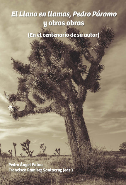 Libro El Llano En Llamas, Pedro Páramo Y Otras Obras: Hace cien años nació el más clásico escritor mexicano del siglo XX. Con tal motivo, este volumen reúne quince contribuciones que cubren las perspectivas críticas más diversas sobre la obra de Juan Rulfo.