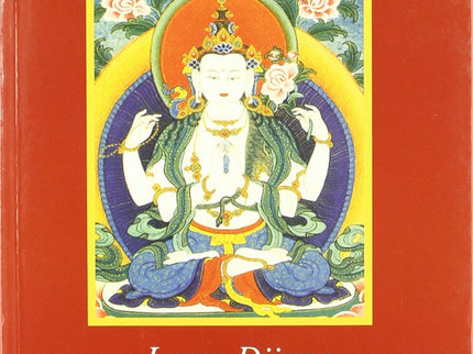 Portada del libro Introducción Práctica Al Buddhismo