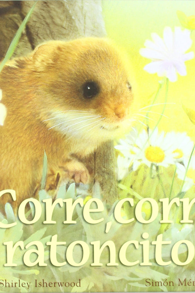 ¡corre Corre Ratoncito!