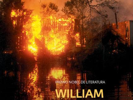 Luz de agosto - William Faulkner - LIBRO EN OTRO FORMATO