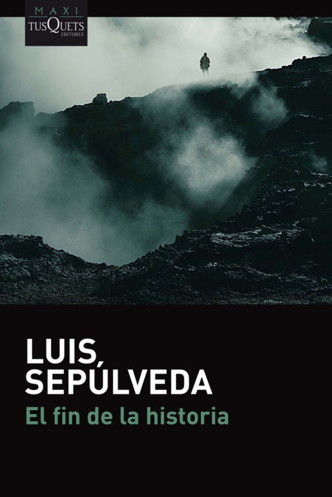 Libro El Fin De La Historia: Juan Belmonte vive en el sur de Chile, frente al mar, llevando una vida sencilla y casi anónima, acompañado de algún amigo insobornable y de sus recuerdos de viejo guerrillero que ha trabajado también como agente y ha aceptado encargos de algunos de sus viejos mandos. Después de dar con las monedas de oro que evadieron unos nazis de la prisión de Spandau, Juan Belmonte recibe una llamada: debe localizar a los que quieren rescatar a un preso en el Chile de Bachelet.