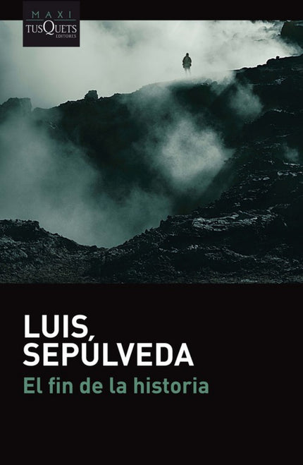 Libro El Fin De La Historia: Juan Belmonte vive en el sur de Chile, frente al mar, llevando una vida sencilla y casi anónima, acompañado de algún amigo insobornable y de sus recuerdos de viejo guerrillero que ha trabajado también como agente y ha aceptado encargos de algunos de sus viejos mandos. Después de dar con las monedas de oro que evadieron unos nazis de la prisión de Spandau, Juan Belmonte recibe una llamada: debe localizar a los que quieren rescatar a un preso en el Chile de Bachelet.