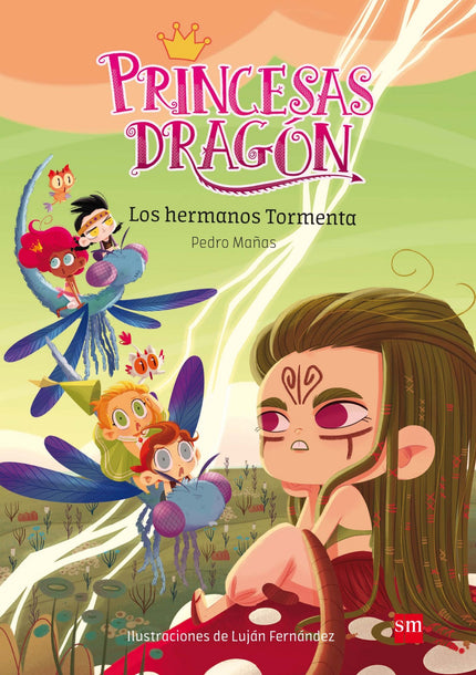 Libro Los Hermanos Tormenta: Las princesas pueden ser de muchas maneras. Las hay deportistas, cursis, gruñonas, alegres,