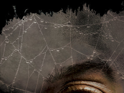 Libro Piel De Topo: La Pequeña África de San Francisco vuelve a ser el escenario de las andanzas de nuestro detective-vi